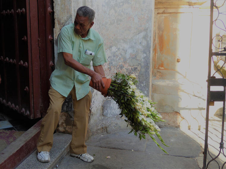 First day in Havana First day in Havana